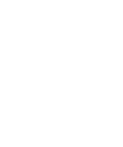 Adnan & Saniya
